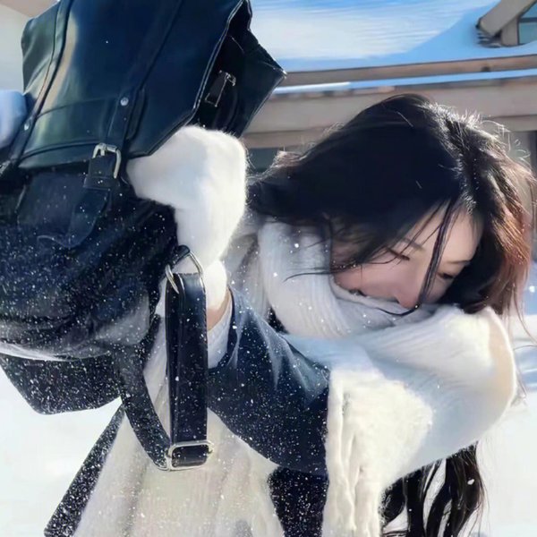 朋友与鳄鱼海报