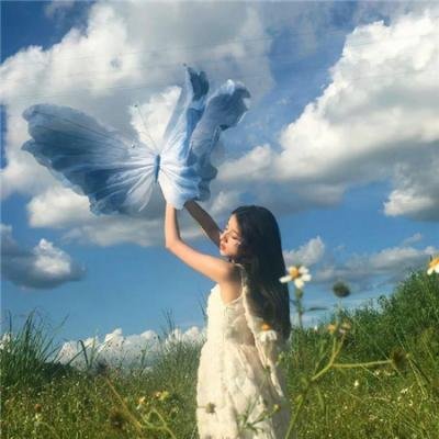 野兽活百科第一季海报